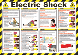 HS1601: Electric Shock Treatment Guide