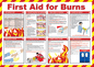 HS1603: First Aid for Burns Poster