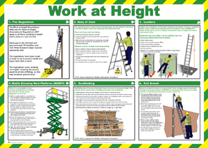 HS1716: Working at Height Poster