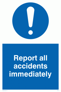 MV313: report all accidents immediately