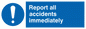 MV313: report all accidents immediately