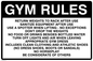 IV5300: Gym Rules