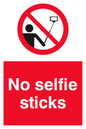 PV5433: No selfie sticks