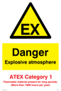 WN5621: Danger explosive atmosphere ATEX Category 1