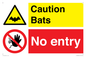 CV16883: Caution Bats No Entry