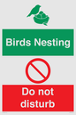 CV16925: Birds Nesting - Do not disturb