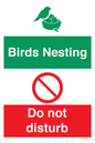 CV16925: Birds Nesting - Do not disturb