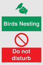CV16925: Birds Nesting - Do not disturb