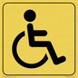 DV1030: disabled toilet symbol - toilet door sign