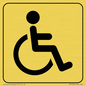 DV1030: disabled toilet symbol - toilet door sign