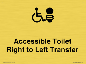 DV10668: Accessible Toilet with Right to Left Transfer