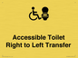 DV10668: Accessible Toilet with Right to Left Transfer