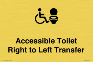 DV10668: Accessible Toilet with Right to Left Transfer