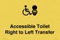 DV10668: Accessible Toilet with Right to Left Transfer