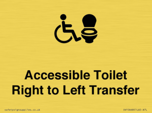 DV10668: Accessible Toilet with Right to Left Transfer