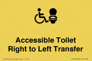 DV10668: Accessible Toilet with Right to Left Transfer