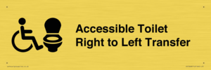 DV10668: Accessible Toilet with Right to Left Transfer