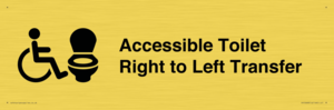 DV10668: Accessible Toilet with Right to Left Transfer