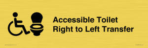 DV10668: Accessible Toilet with Right to Left Transfer