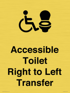 DV10668: Accessible Toilet with Right to Left Transfer