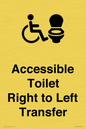 DV10668: Accessible Toilet with Right to Left Transfer