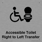 DV10668: Accessible Toilet with Right to Left Transfer