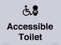 DV10672: Accessible Toilet