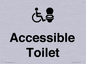 DV10672: Accessible Toilet