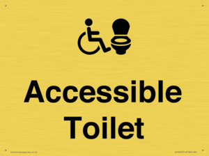 DV10672: Accessible Toilet