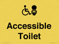 DV10672: Accessible Toilet