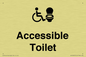 DV10672: Accessible Toilet