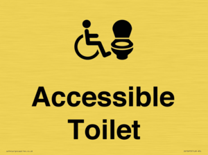 DV10672: Accessible Toilet