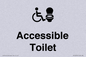 DV10672: Accessible Toilet