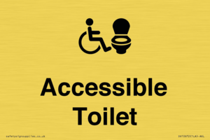 DV10672: Accessible Toilet