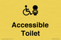 DV10672: Accessible Toilet