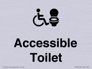DV10672: Accessible Toilet