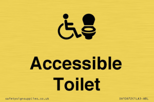DV10672: Accessible Toilet