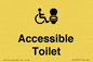 DV10672: Accessible Toilet