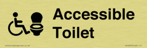 DV10672: Accessible Toilet