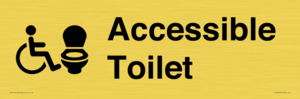 DV10672: Accessible Toilet