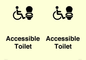 DV10672: Accessible Toilet
