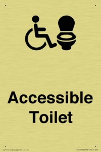 DV10672: Accessible Toilet