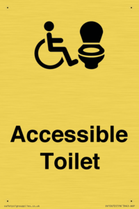 DV10672: Accessible Toilet