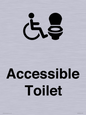 DV10672: Accessible Toilet