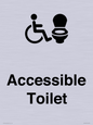 DV10672: Accessible Toilet