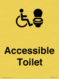 DV10672: Accessible Toilet