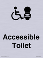 DV10672: Accessible Toilet