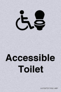 DV10672: Accessible Toilet