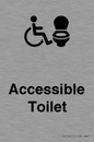 DV10672: Accessible Toilet