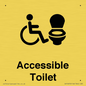 DV10672: Accessible Toilet